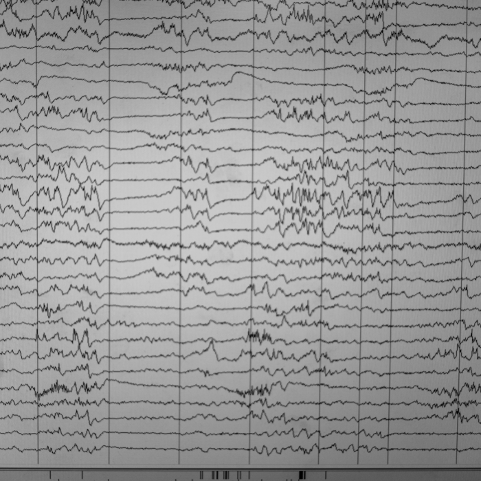 Hill_Leila_P2_FCS-02404